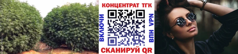 Купить закладки  Нерехта  ТГК вейп с тгк 