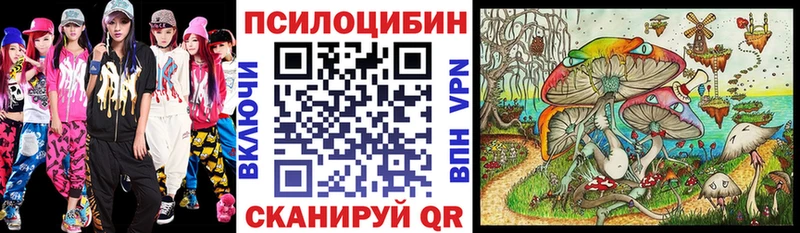 Купить закладки  Нерехта  Псилоцибиновые грибы Cubensis 